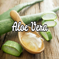 Aloe Vera Beneficios