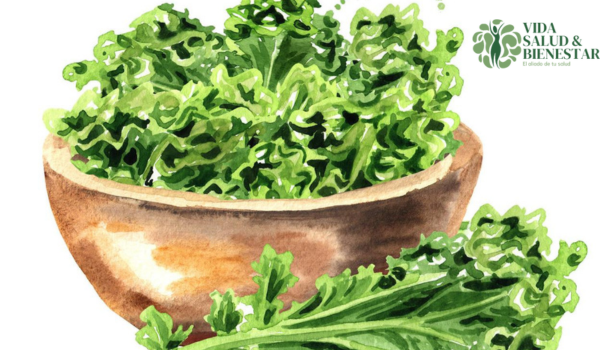Kale en dietas de desintoxicacion y perdida de peso